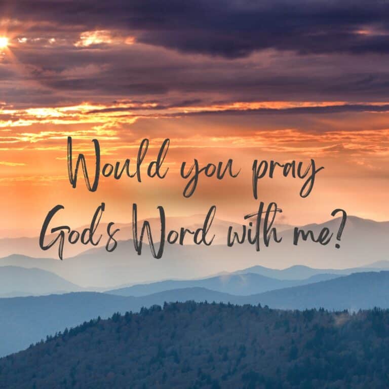 Would You Pray God’s Word With Me?