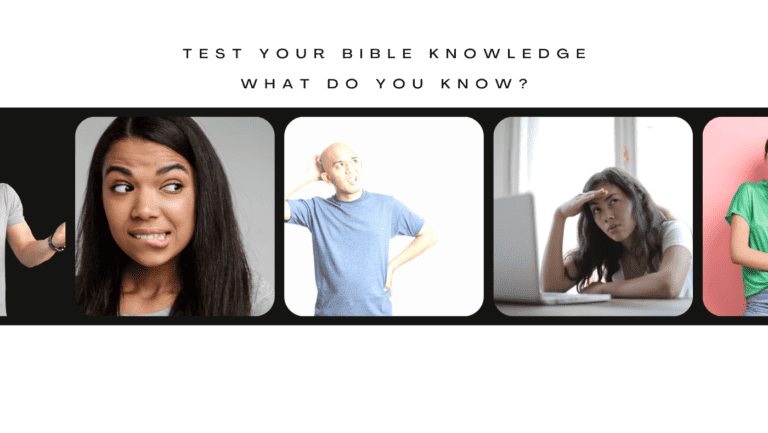 Quizzes